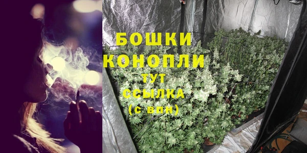 прущие грибы Михайловка