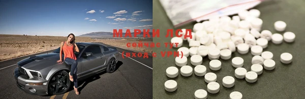 прущие грибы Михайловка