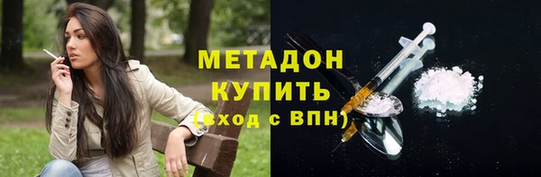 прущие грибы Михайловка