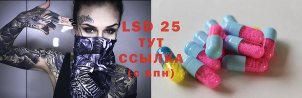 прущие грибы Михайловка