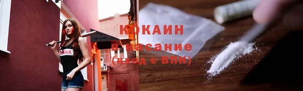 прущие грибы Михайловка