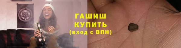 прущие грибы Михайловка