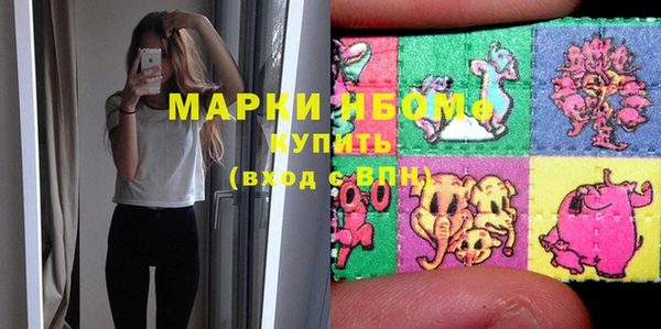 прущие грибы Михайловка