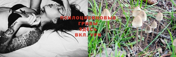 гашишное масло Михайлов