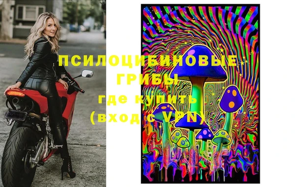 прущие грибы Михайловка