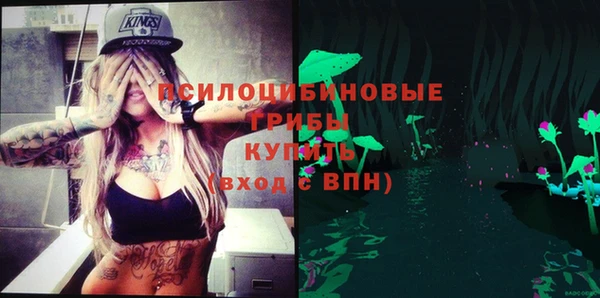 прущие грибы Михайловка