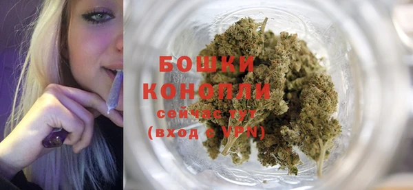 прущие грибы Михайловка