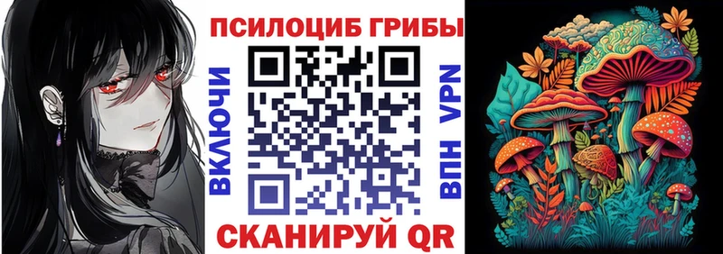 Галлюциногенные грибы прущие грибы  Купить закладки  Палласовка 